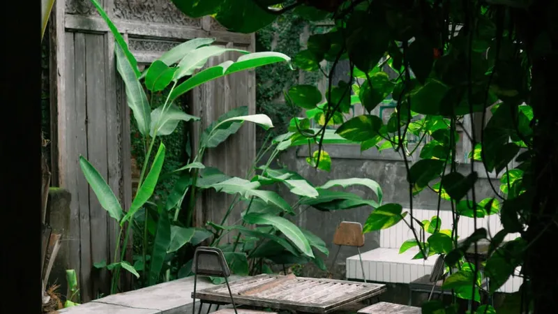 Pranadjaya Coffee - Foto 4