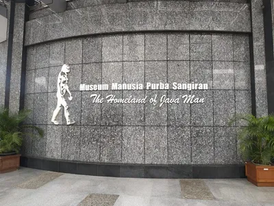 Museum Sangiran