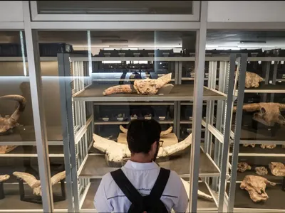 Museum Bukuran